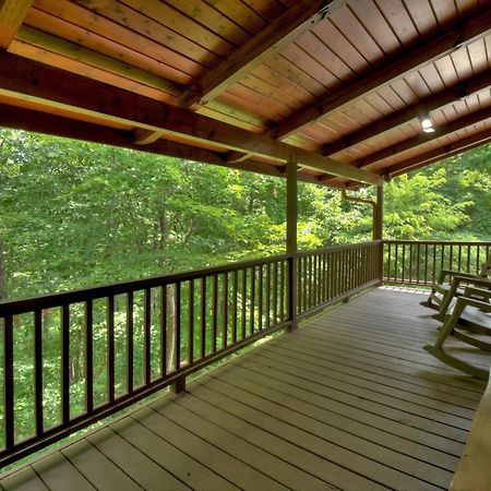 Champagne Chalet - Cuddleup Villa Morganton Luaran gambar